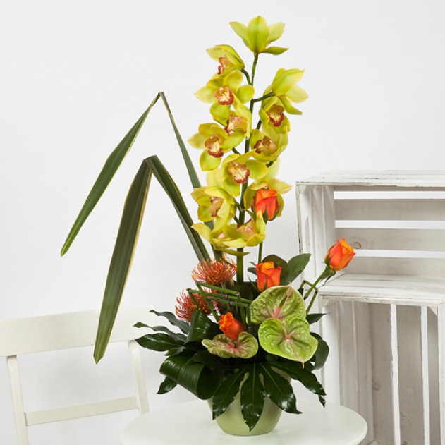 Orchid Flower Arrangement image